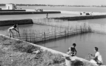 1986年的汕头经济特区珠池养蟹场照片，王瑞忠摄 - 新浪广东