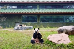 广州动物园改造将凸显岭南风格 - 广东大洋网