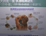 科学养犬有学问 共同抵制养犬不文明行为 - 新浪广东