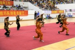 广东省女子排球队、武术队、技巧队化州精彩献艺 - 体育局