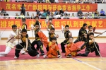 广东省女子排球队、武术队、技巧队化州精彩献艺 - 体育局