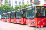 广州纯电动公交车已超万辆。 - 新浪广东