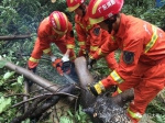 这个湖北帅哥被评“东莞好人”，因为台风“山竹”来时，他在虎门做了这件事…… - News.Timedg.Com