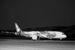 广州迎来全球第787架波音787 - 广东大洋网