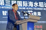 袁隆平谈“海水稻”：未来8到10年在中国发展到1亿亩 - News.Timedg.Com