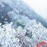 连山金子山上冰花开 元旦将有规模较大的冰雪雾凇 - 新浪广东