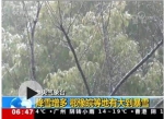 中央气象台发布暴雪蓝色预警 鄂豫皖等地有大到暴雪 - News.Timedg.Com