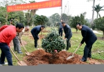 85届林学校友捐赠210株茶花 - 华南农业大学