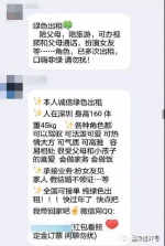 在租友QQ群内，每天都有人发布租友信息。 手机截屏 - 新浪广东