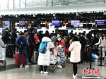 广州白云机场春运客流高峰提前出现　谢佳佳　摄 - 新浪广东