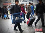 资料图：带着狗狗去乘车，吸引旅客的眼球。　泱波 摄 - 新浪广东