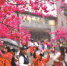 【网络中国节·春节】广州城中花海引人入胜 乡村游市场同样火爆 - 广东大洋网