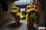 你知道广州春节为什么要醒狮吗？2019非遗课等你来打卡 - 广东大洋网