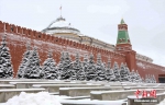 莫斯科一夜降雪量创下新纪录 - News.Timedg.Com