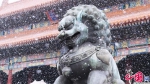 当故宫遇见雪 就美成紫禁城 - News.Timedg.Com