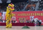 2019年肇庆市元宵节舞狮比赛举行 - 体育局