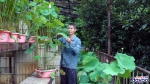 小学老师自费为孩子建植物园，当选“广州好人” - 广东大洋网