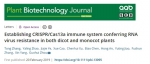 植物病毒研究室在抗病毒技术领域取得新成果 - 华南农业大学