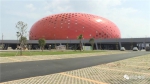 全国柔道锦标赛将于肇庆打响 - 体育局