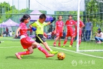 广东省民间青少年足球联赛佛山赛区开赛 - 体育局