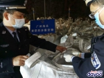 广州海关查获2宗走私“洋垃圾”案，涉案超2000吨 - 广东大洋网