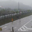 广东难逃周末雨天定律 请珍惜今明雨歇升温 - 新浪广东