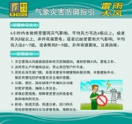 广州发布雷雨大风黄色预警信号，未来几小时内有强雷雨 - 广东大洋网