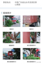 撞树后逃跑也算交通事故 这名司机差点被认为逃逸 - 新浪广东