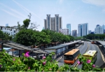 清明假期将至，广州BRT加密途经公墓的班次 - 广东大洋网