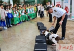 淡定！网红“海关犬”被百名小学生围观，温顺任撸 - 广东大洋网