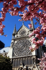 巴黎圣母院，你在我们记忆中的样子 - News.Timedg.Com