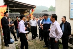 学校专家赴从化开展乡村振兴结对合作交流与调研 - 华南农业大学