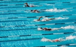 倒计时3天-FINA游泳冠军赛4月24日新闻稿939.png - 体育局