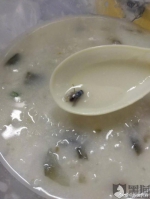 网友在美团购买早餐粥 吃到一半发现里面有苍蝇(图) - 新浪广东