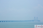碧海、蓝天、大餐……首批坐着邮轮去香港的“老广”玩嗨了 - 广东大洋网