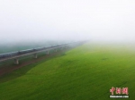 资料图：动车组穿越雨雾中的油菜花海宛若穿越时空。 杨艳敏 摄 - 新浪广东
