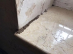 白蚁的排泄物 - 新浪广东
