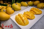 印度美食远不止咖喱鸡！“芒果之王”和国民小吃让广州市民好满意 - 广东大洋网