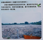 5万平米水塘曾垃圾遍地，公益诉讼促其重焕生机 - 广东大洋网