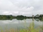 5万平米水塘曾垃圾遍地，公益诉讼促其重焕生机 - 广东大洋网