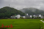 这里山清水秀白鹭飞，广州“美丽乡村”获点赞 - 广东大洋网