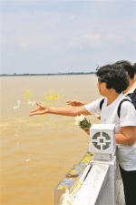 广州今年首批骨灰撒海活动举行 647人在海上告别亲人 - 广东大洋网