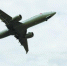 波音遭集体诉讼：数百名机长指控其掩饰737MAX瑕疵 - News.Timedg.Com