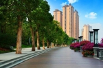 首届中国住房高质量发展论坛开幕，星河湾高品质再获肯定 - 新浪广东