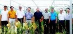 广东省植物分子育种重点实验室召开学术委员会年度会议 - 华南农业大学