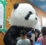 来香市动物园画熊猫拍熊猫写熊猫，瓜分2万元大奖！ - News.Timedg.Com