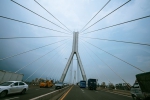 广州多座市政桥梁明年起陆续启动大中修工程 - 广东大洋网