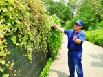 《广州入侵植物》出版，收集150种入侵植物 - 广东大洋网