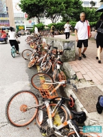 ■客村地铁站附近有单车甚至被放到了马路边上。新快报记者 许力夫/摄 - 新浪广东