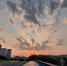 （8月14日晨，广州晴到多云。 图片来源于微博） - 新浪广东